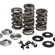 Load image into Gallery viewer, Kibblewhite Precision KPMI RACING SPRING KIT, TITANIUM, 0.675" LIFT, 5/16" HD 20-21700
