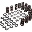 Load image into Gallery viewer, Kibblewhite Precision KPMI RACING SPRING KIT TITANIUM 0.445" LIFT