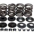 Load image into Gallery viewer, Kibblewhite Precision KPMI SPRING KIT LIGHTWEIGHT RACING .600" LIFT