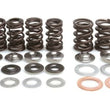 Load image into Gallery viewer, Kibblewhite Precision KPMI SPRING KIT LIGHTWEIGHT RACING .500" LIFT