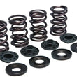 Load image into Gallery viewer, Kibblewhite Precision KPMI SPRING KIT, LIGHTWEIGHT RACING, .500" 90-90010