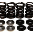 Load image into Gallery viewer, Kibblewhite Precision KPMI SPRING KIT, LIGHTWEIGHT RACING, 0.425" LIFT APPS 96-96250 fits KTM
