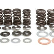 Load image into Gallery viewer, Kibblewhite Precision KPMI SPRING KIT LIGHTWEIGHT RACING .500" LIFT
