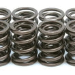 Load image into Gallery viewer, Kibblewhite Precision KPMI SPRING KIT OEM REP. SPRING ONLY .440" LIFT 80-0449
