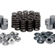 Load image into Gallery viewer, Kibblewhite Precision KPMI SPRING KIT (SHIM-IN-TAPPET), TITANIUM, 0.445" LIFT - Main Product View