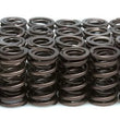 Load image into Gallery viewer, Kibblewhite Precision KPMI SPRING KIT SPRING ONLY .500" LIFT HONDA® CBX 6 1979-1982