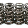 Load image into Gallery viewer, Kibblewhite Precision KPMI SPRING KIT, SPRING ONLY, 0.480" LIFT 60-0891 fits Suzuki