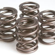 Load image into Gallery viewer, Kibblewhite Precision KPMI Springs OE Replcr-SI, In/Ex fits 1968-1977 NORTON 750 / 850
