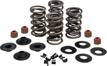 Load image into Gallery viewer, Kibblewhite Precision Spring Kit 20-23500 - Main Product View