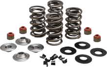 Load image into Gallery viewer, Kibblewhite Precision Spring Kit 20-23550 - Main Product View