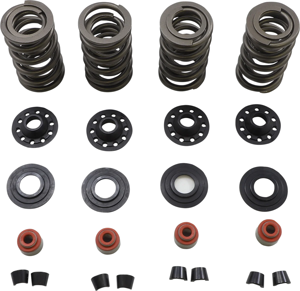 Kibblewhite Precision Spring Kit 20-23600 - Main Product View