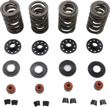 Load image into Gallery viewer, Kibblewhite Precision Spring Kit 20-23600 - Main Product View