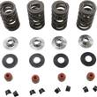Load image into Gallery viewer, Kibblewhite Precision Spring Kit 20-23650 - Main Product View