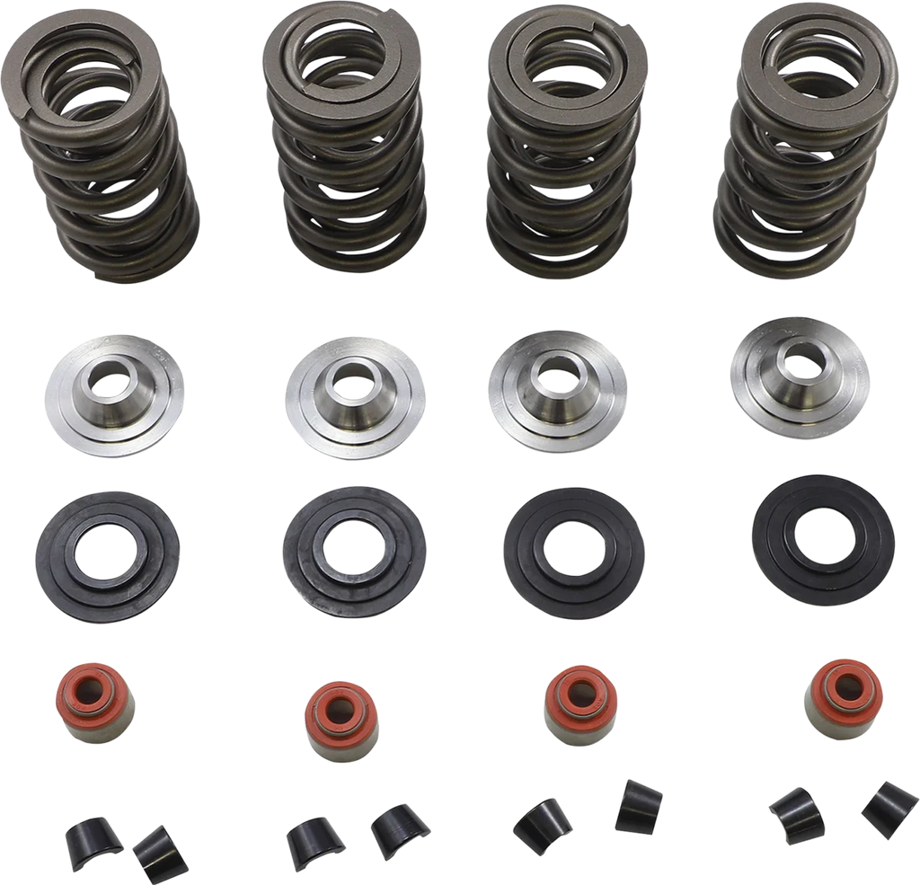 Kibblewhite Precision Spring Kit 20-23650 - Main Product View