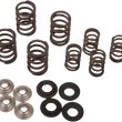 Load image into Gallery viewer, Kibblewhite Precision Spring Kit 30-30077 - Main Product View