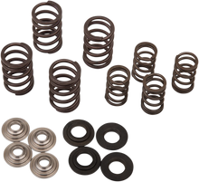 Load image into Gallery viewer, Kibblewhite Precision Spring Kit 30-30077 - Main Product View