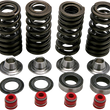 Load image into Gallery viewer, Kibblewhite Precision Spring Kit 30-30590 - Main Product View