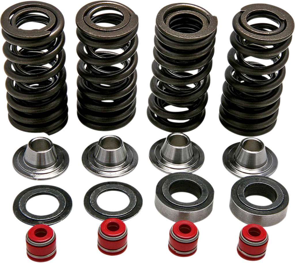 Kibblewhite Precision Spring Kit 30-30590 - Main Product View