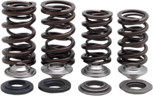 Load image into Gallery viewer, Kibblewhite Precision Spring Kit 30-31600 - Main Product View
