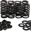 Load image into Gallery viewer, Kibblewhite Precision Spring Kit 30-33800 - Main Product View