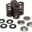 Load image into Gallery viewer, Kibblewhite Precision Spring Kit 40-40100 - Main Product View