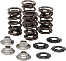 Load image into Gallery viewer, Kibblewhite Precision Spring Kit 40-40660 - Main Product View