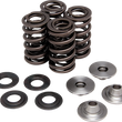 Load image into Gallery viewer, Kibblewhite Precision Spring Kit 40-41600 - Main Product View