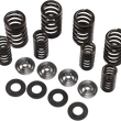 Load image into Gallery viewer, Kibblewhite Precision Spring Kit - .445" 60-60500 - Main Product View