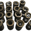 Load image into Gallery viewer, Kibblewhite Precision Spring Kit 60-60560 - Main Product View