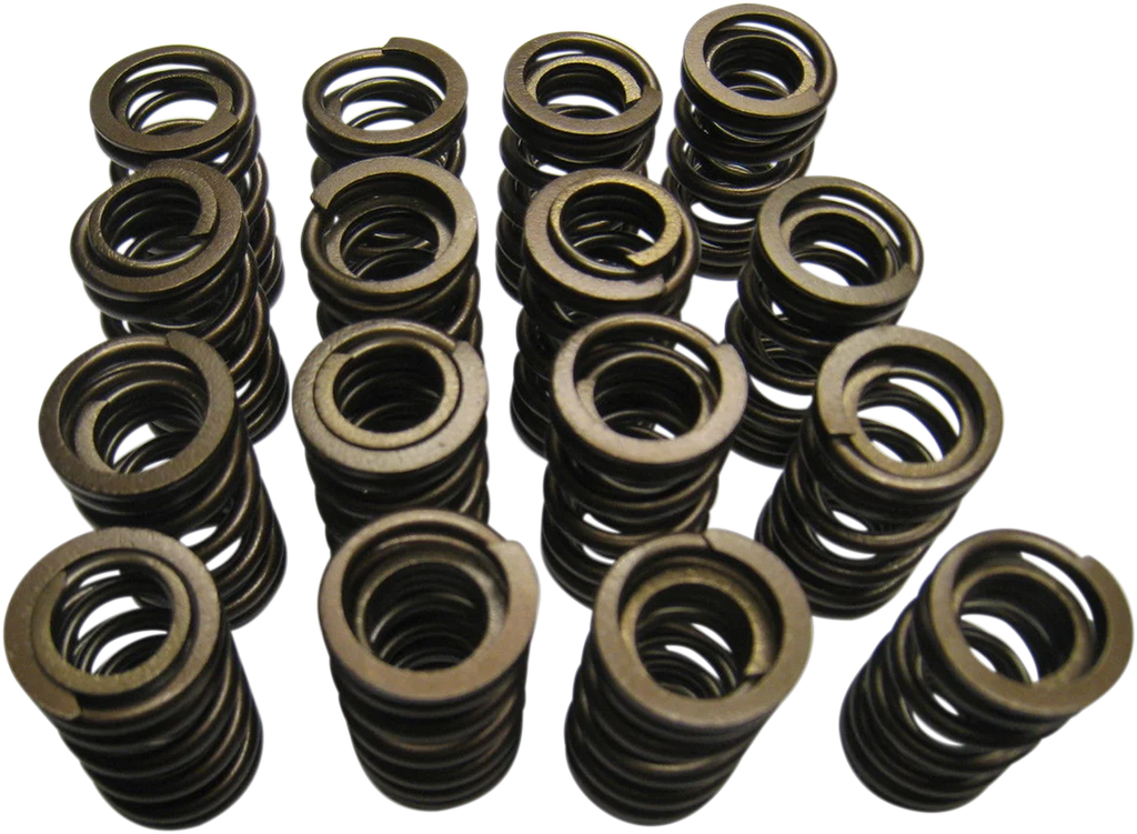 Kibblewhite Precision Spring Kit 60-60560 - Main Product View