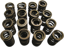 Load image into Gallery viewer, Kibblewhite Precision Spring Kit 60-60560 - Main Product View