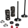 Load image into Gallery viewer, Kibblewhite Precision Spring Kit - .610" - Evolution/Twin Cam 20-21300 - Side View