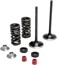Load image into Gallery viewer, Kibblewhite Precision Spring Kit - .610" - Twin Cam 20-21400 - Side View