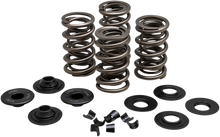 Load image into Gallery viewer, Kibblewhite Precision Spring Kit - .650" - Evolution/Twin Cam 20-21650 - Main Product View