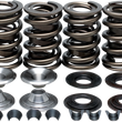 Load image into Gallery viewer, Kibblewhite Precision Spring Kit - .655" 20-20060 - Main Product View