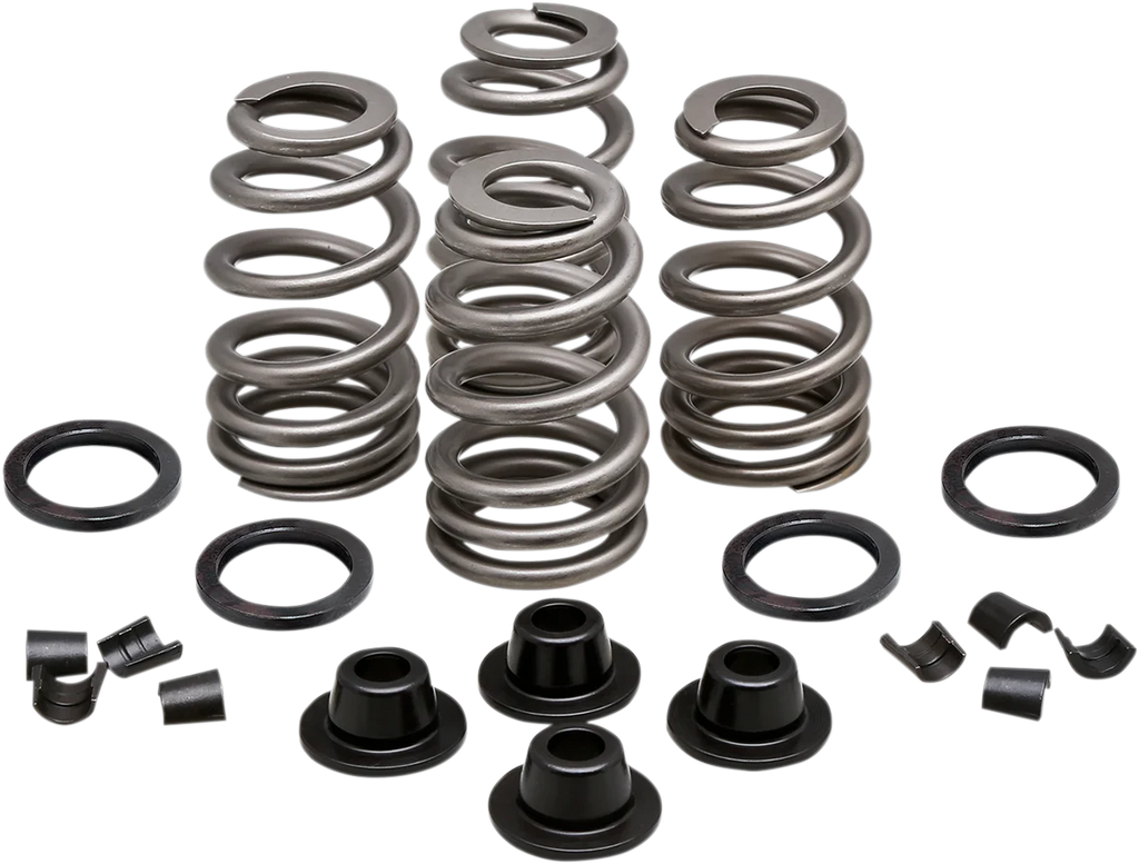 Kibblewhite Precision Spring Kit - .660" - Evolution/Twin Cam 20-21500 - Main Product View