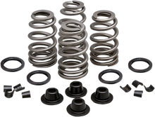 Load image into Gallery viewer, Kibblewhite Precision Spring Kit - .660" - Evolution/Twin Cam 20-21500 - Main Product View