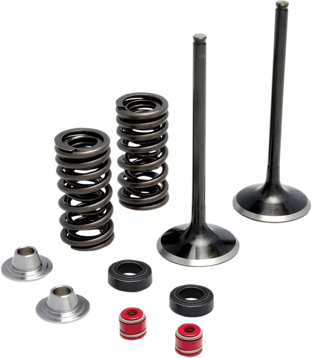 Kibblewhite Precision Spring Kit - .660" - Evolution/Twin Cam 20-21500 - Side View