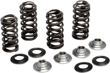 Load image into Gallery viewer, Kibblewhite Precision Spring Kit 80-82300 - Main Product View