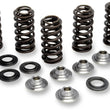 Load image into Gallery viewer, Kibblewhite Precision Spring Kit 80-82300 - Side View