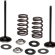 Load image into Gallery viewer, Kibblewhite Precision Spring Kit - Intake Only 96-96540 - Main Product View