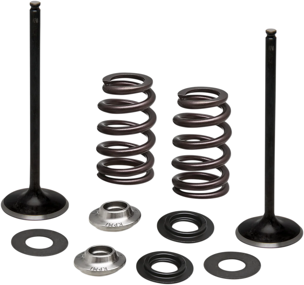 Kibblewhite Precision Spring Kit - Intake Only 96-96540 - Main Product View