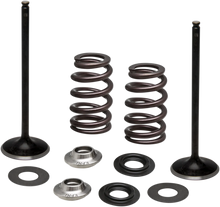 Load image into Gallery viewer, Kibblewhite Precision Spring Kit - Intake Only 96-96540 - Main Product View