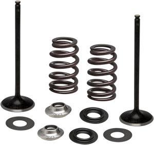 Kibblewhite Precision Spring Kit - Intake Only 96-96540 - Main Product View