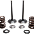 Load image into Gallery viewer, Kibblewhite Precision Spring Kit - Stainless Steel 30-31230 - Main Product View