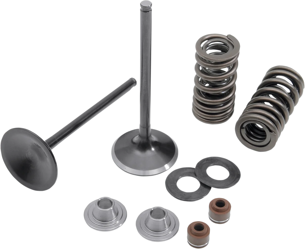 Kibblewhite Precision Spring Kit - Stainless Steel 30-31230 - Side View
