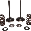 Load image into Gallery viewer, Kibblewhite Precision Valve Kit - Intake 30-34000 - Main Product View