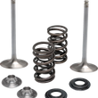Load image into Gallery viewer, Kibblewhite Precision Valve Kit - Intake 40-41650 - Main Product View