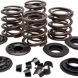 Load image into Gallery viewer, Kibblewhite Precision Valve Spring Kit 20-20450 - Main Product View