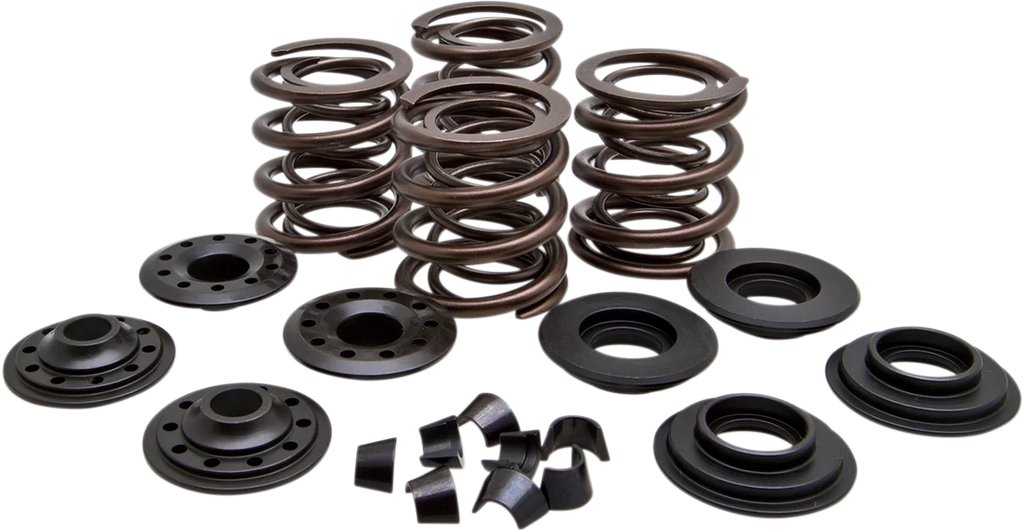 Kibblewhite Precision Valve Spring Kit 20-20450 - Main Product View